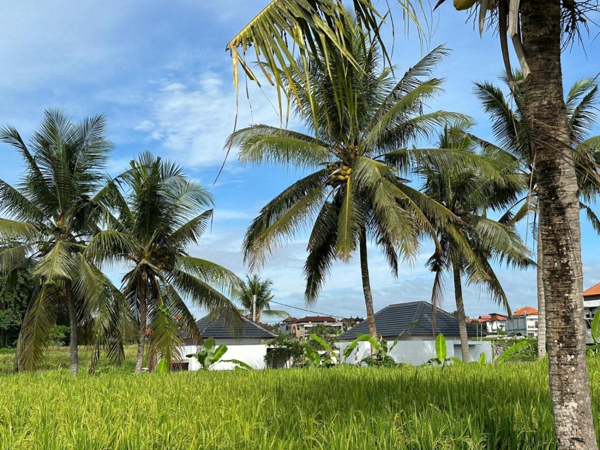 Anara Ubud Екстер'єр фото